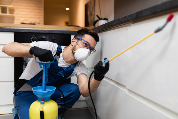 Pest Prevention Services in Quinnipiac University, CT