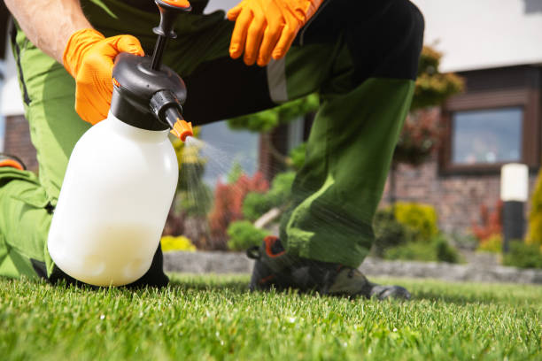 Best Affordable Pest Control Services  in Quinnipiac University, CT