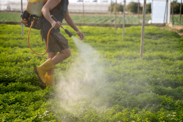 Best Best Pest Control Companies  in Quinnipiac University, CT