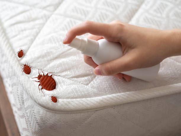Best Local Pest Control Services  in Quinnipiac University, CT