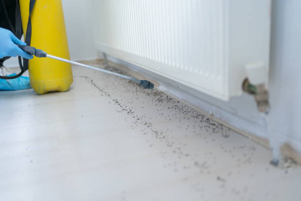 Reliable Quinnipiac University, CT Pest Control Solutions