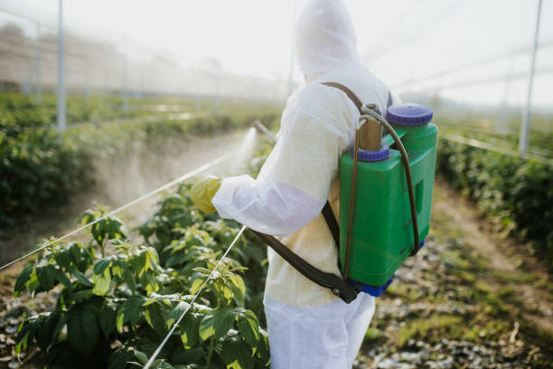 Best Affordable Pest Control Services  in Quinnipiac University, CT